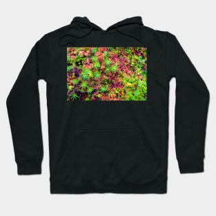 Upland Hoodie